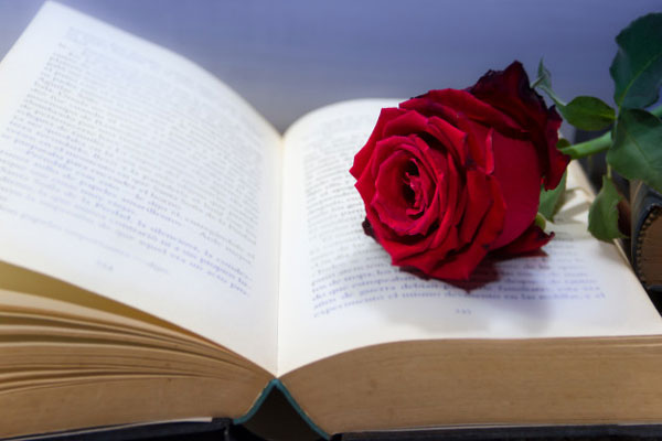 A rose on top of a book symbolizing the insuring end expense.